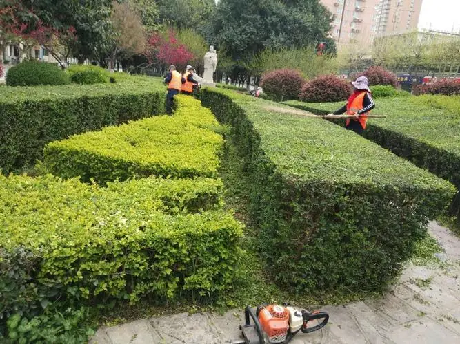 天津城市绿化苗木基地在哪